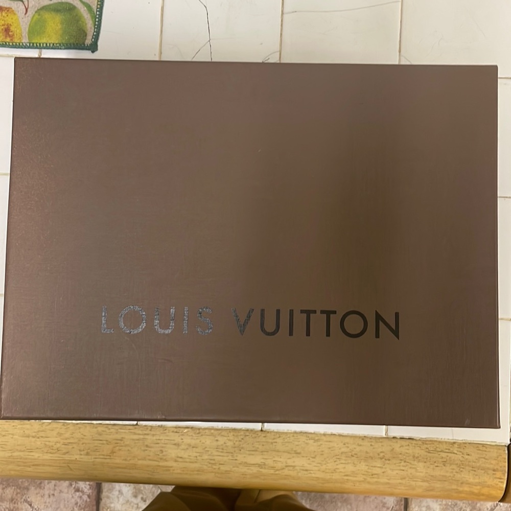 Authentic Louis Vuitton Storage Box for Speedy 25 or Smaller Bags GUC!